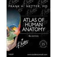 Atlas Of Human Anatomy